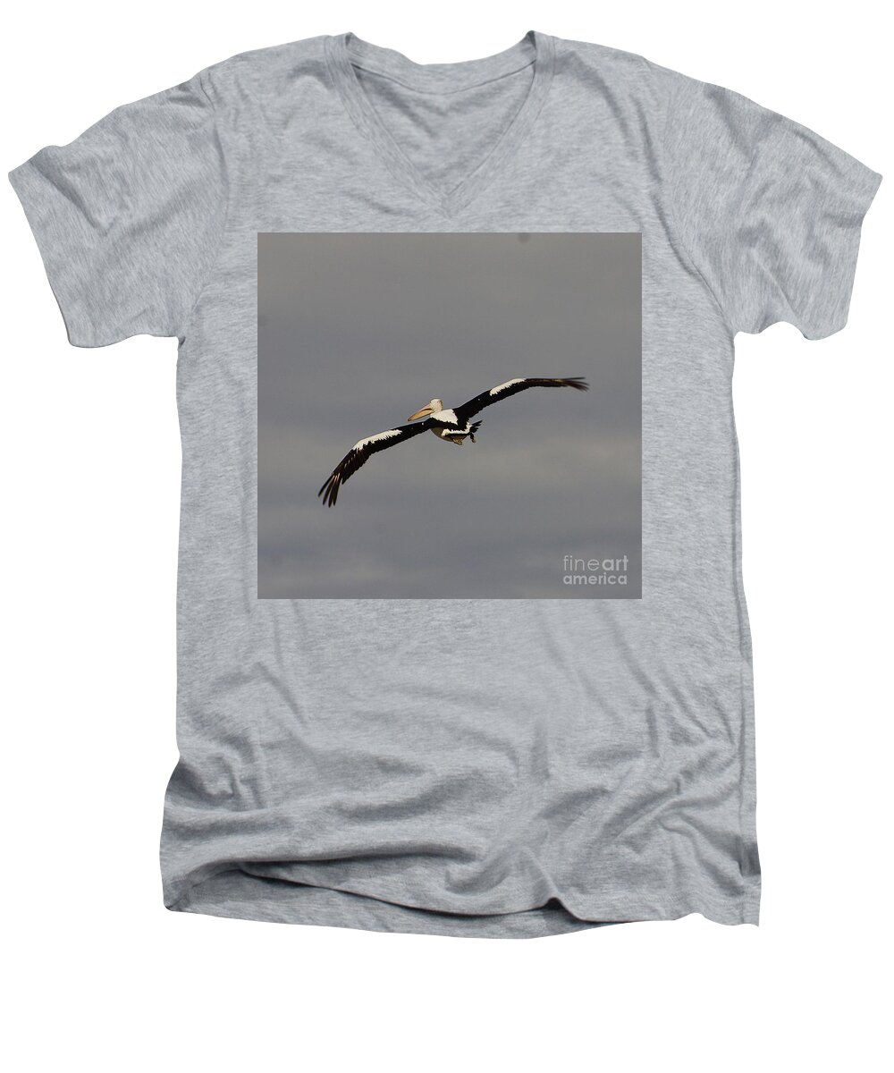 Australia Men's V-Neck T-Shirt featuring the photograph Pelican in flight 2 by Blair Stuart