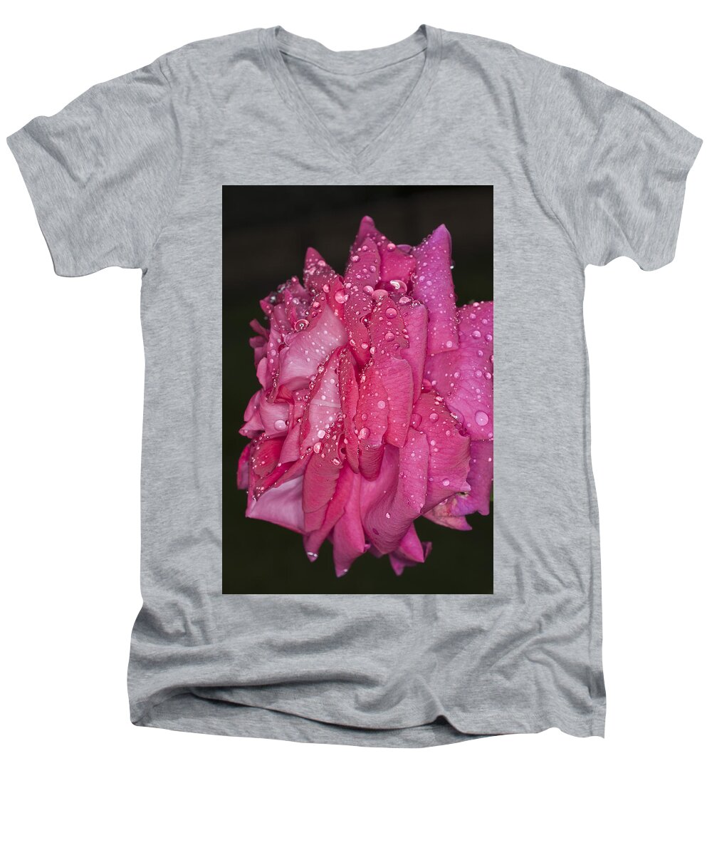 Pink Rose Men's V-Neck T-Shirt featuring the photograph Pink Rose Wendy Cussons by Steve Purnell
