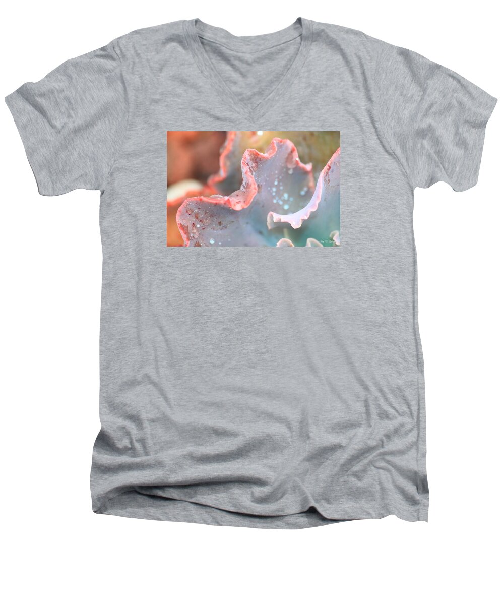 Succulent Men's V-Neck T-Shirt featuring the photograph Rain Drops Of Colors by Amy Gallagher