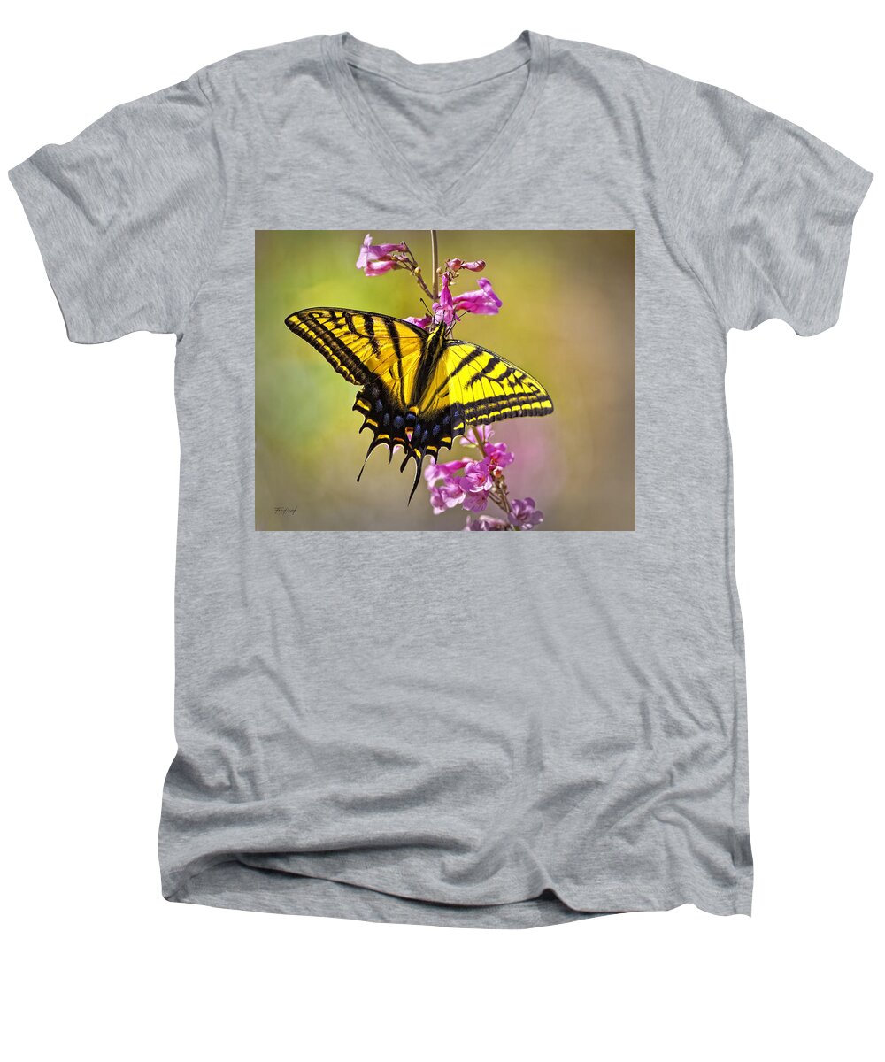Butterfly Men's V-Neck T-Shirt featuring the photograph Two-tailed Swallowtail Butterfly by Fred J Lord
