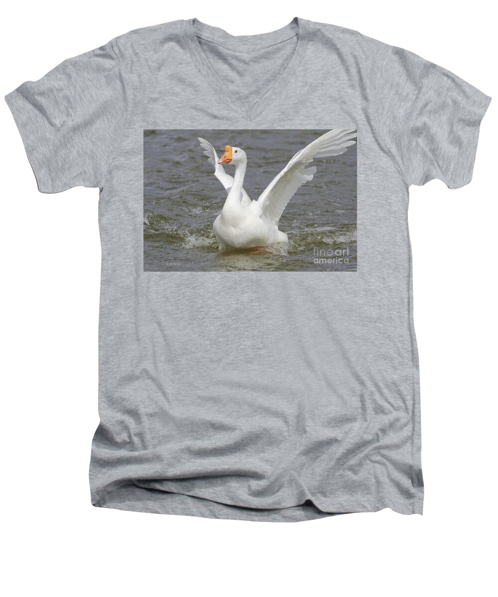 Goose Men's V-Neck T-Shirt featuring the photograph White Goose by Deborah Benoit
