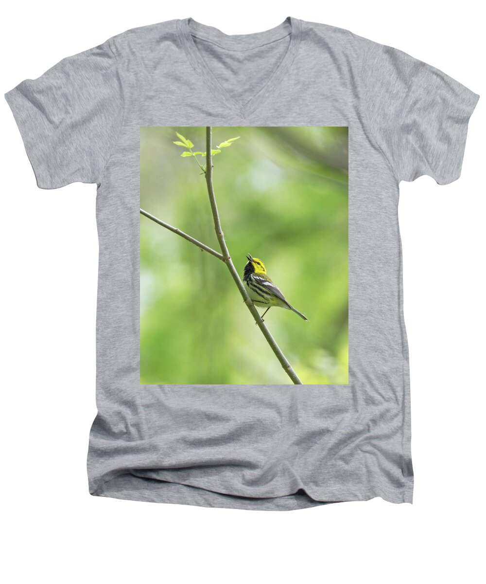 Black-throated Green Warbler Men's V-Neck T-Shirt featuring the photograph Black-Throated Green Warbler #1 by Jim Zablotny
