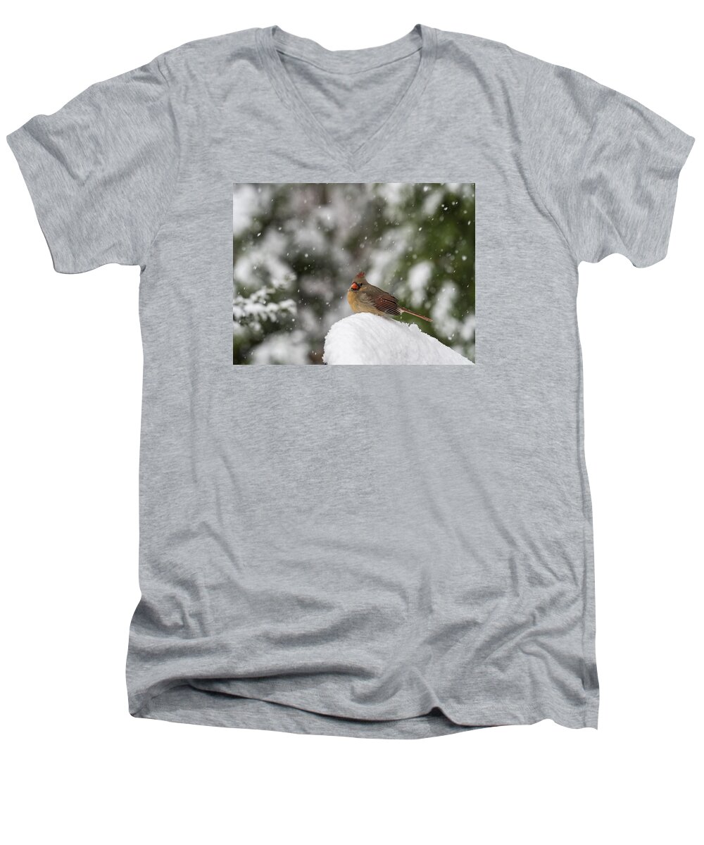 Bird Men's V-Neck T-Shirt featuring the photograph Cardinal in Snow #1 by David Kay