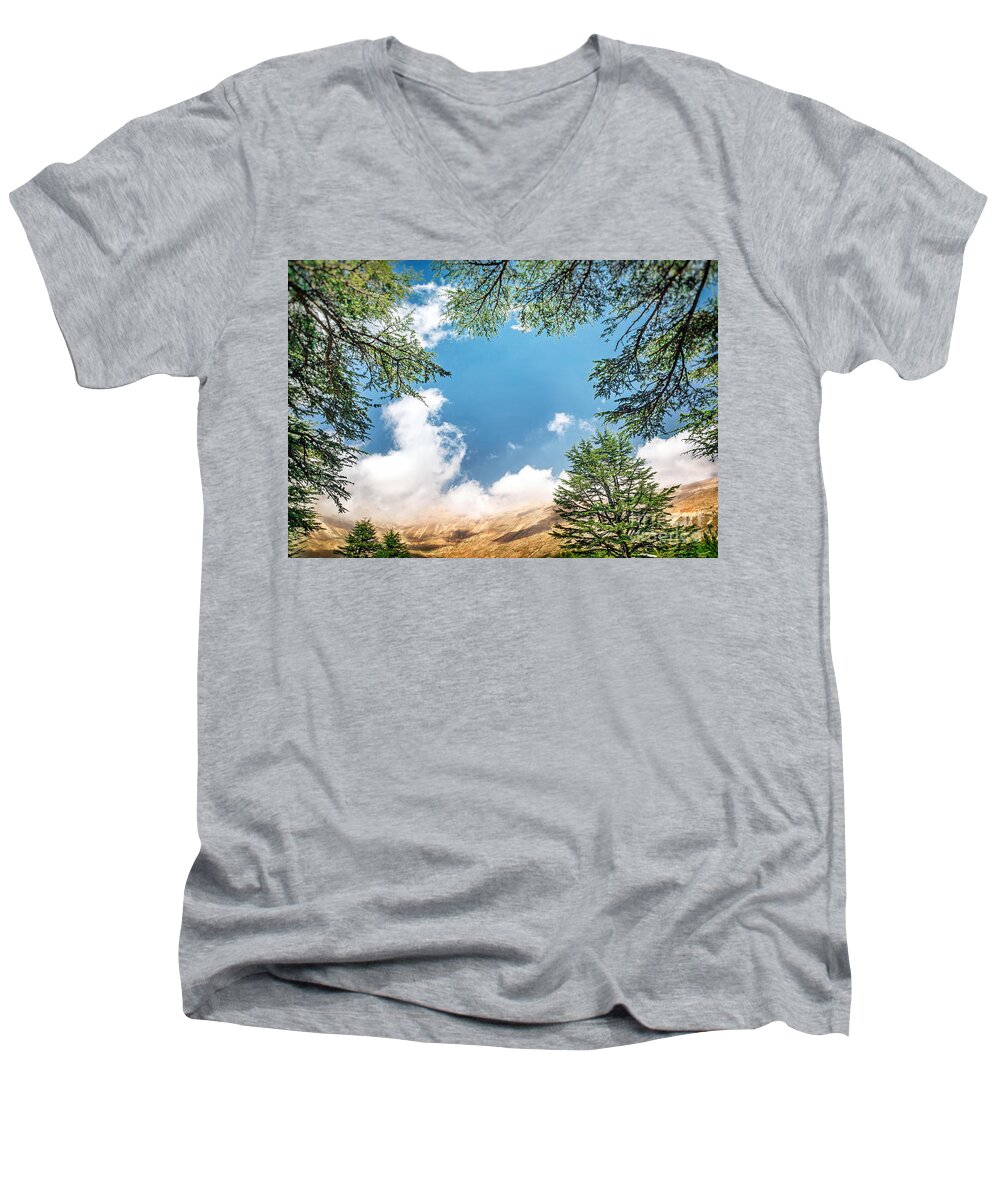 Ancient Men's V-Neck T-Shirt featuring the photograph Cedars of Lebanon #1 by Anna Om