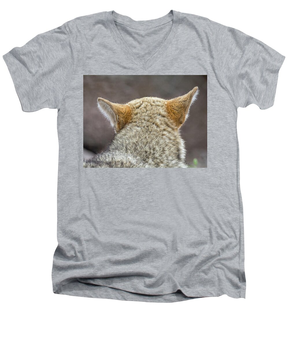 Coyote Men's V-Neck T-Shirt featuring the photograph Coyote #1 by Tam Ryan
