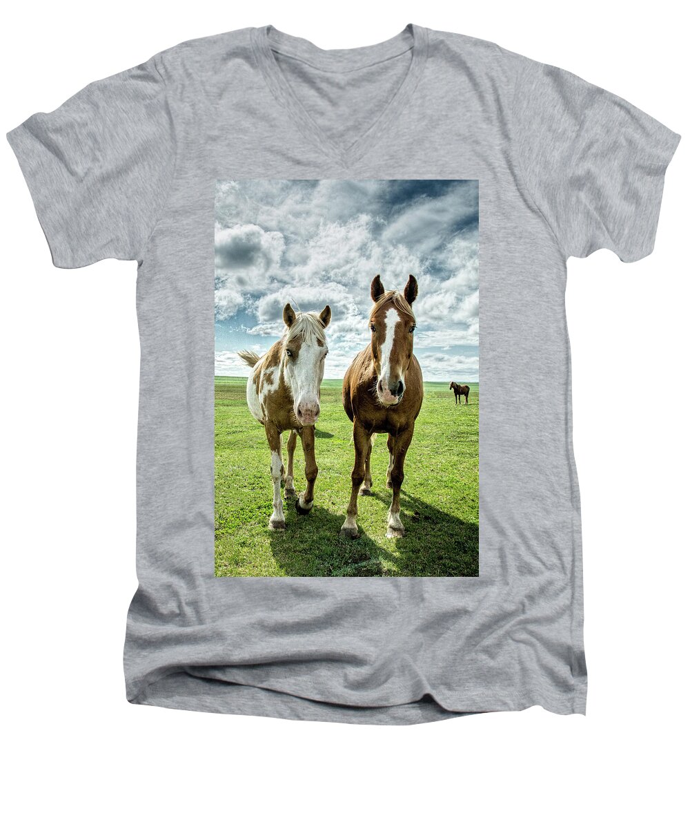 Wild Mustangs Men's V-Neck T-Shirt featuring the photograph Curious Friends #1 by Kristal Kraft