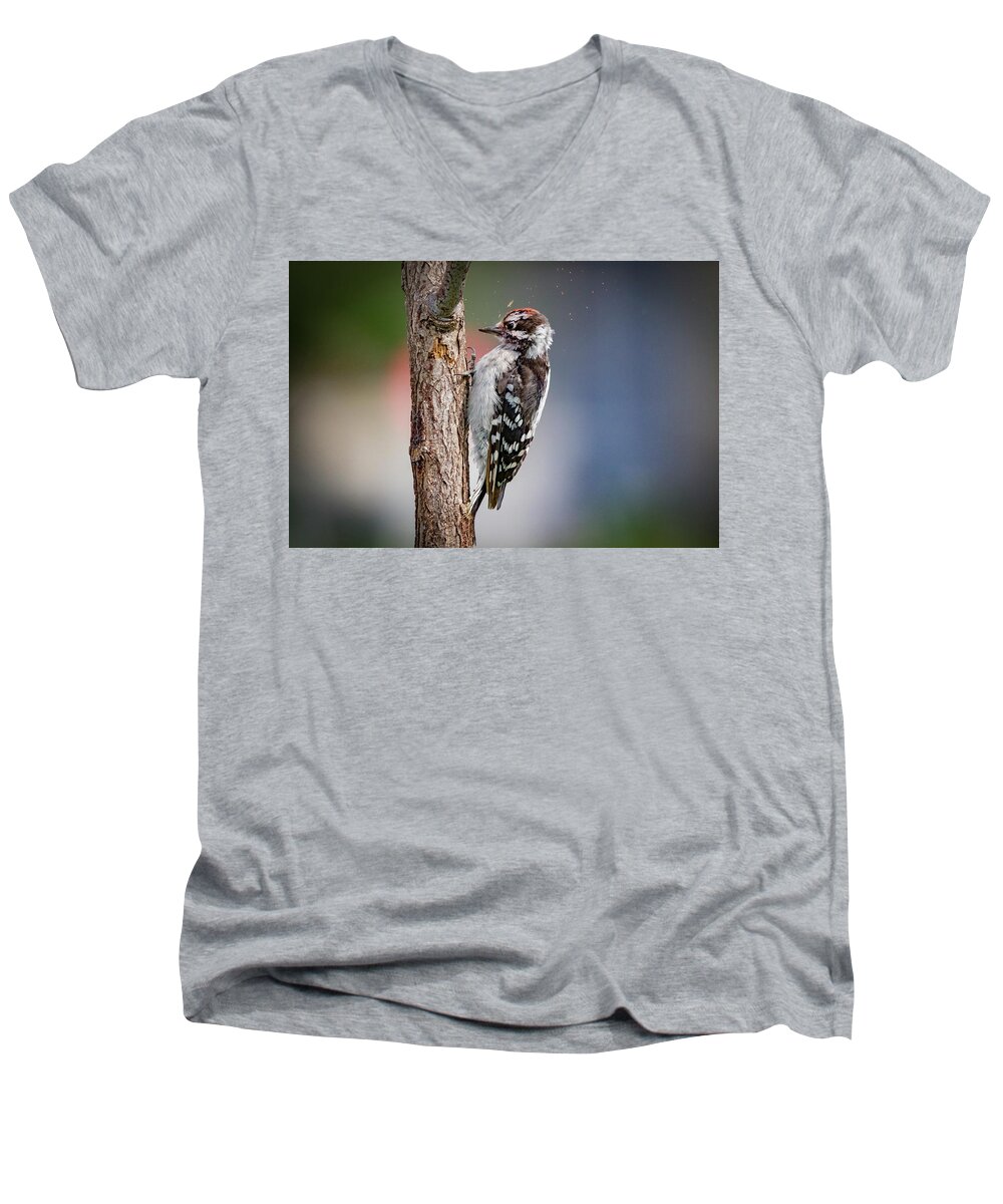 Picoides Pubescens Men's V-Neck T-Shirt featuring the photograph Downy Woodpecker #1 by Ray Congrove