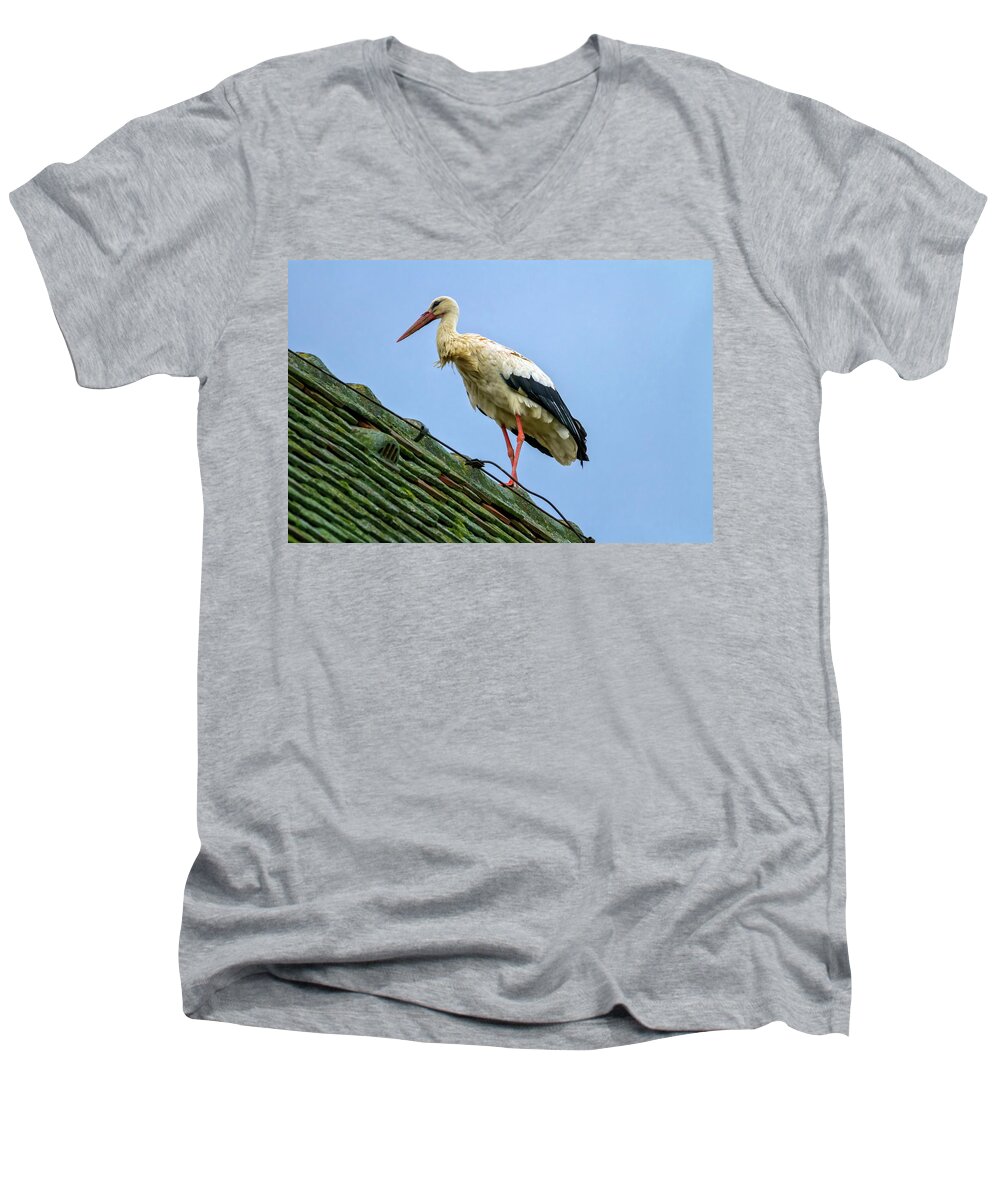 Stork Men's V-Neck T-Shirt featuring the photograph European white stork, ciconia #1 by Elenarts - Elena Duvernay photo