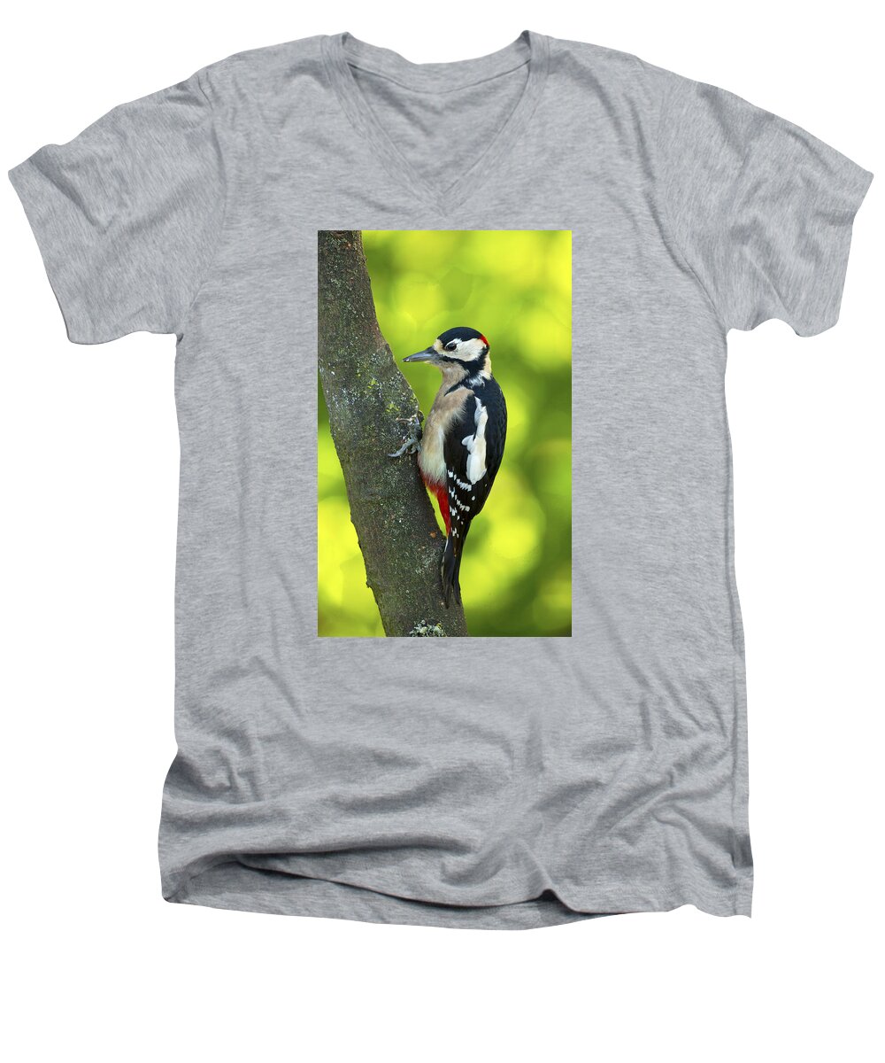 Woodpecker Men's V-Neck T-Shirt featuring the photograph Great Spotted Woodpecker #1 by Paul Scoullar