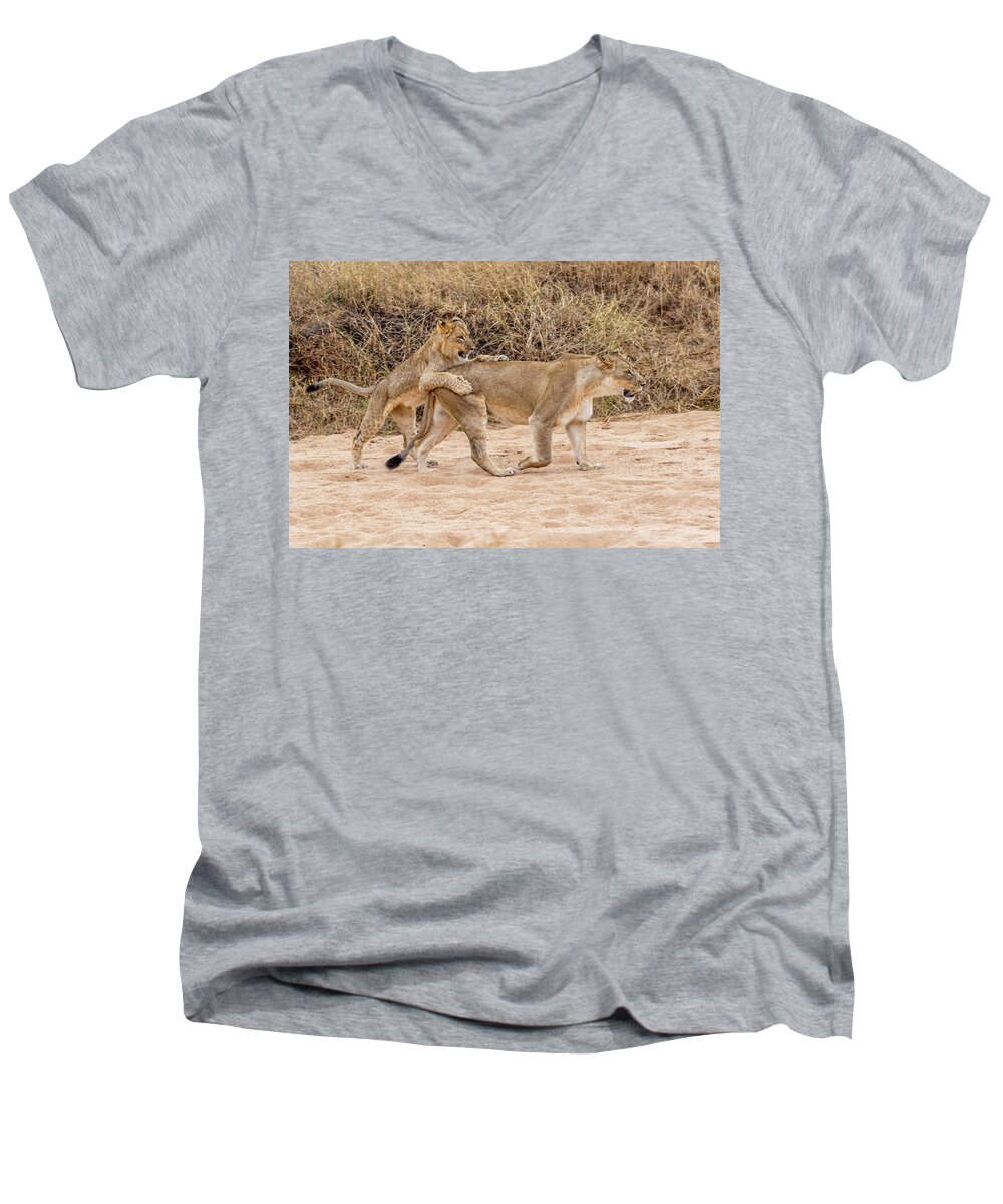 Gary Hall Men's V-Neck T-Shirt featuring the photograph Hitching A Ride #1 by Gary Hall