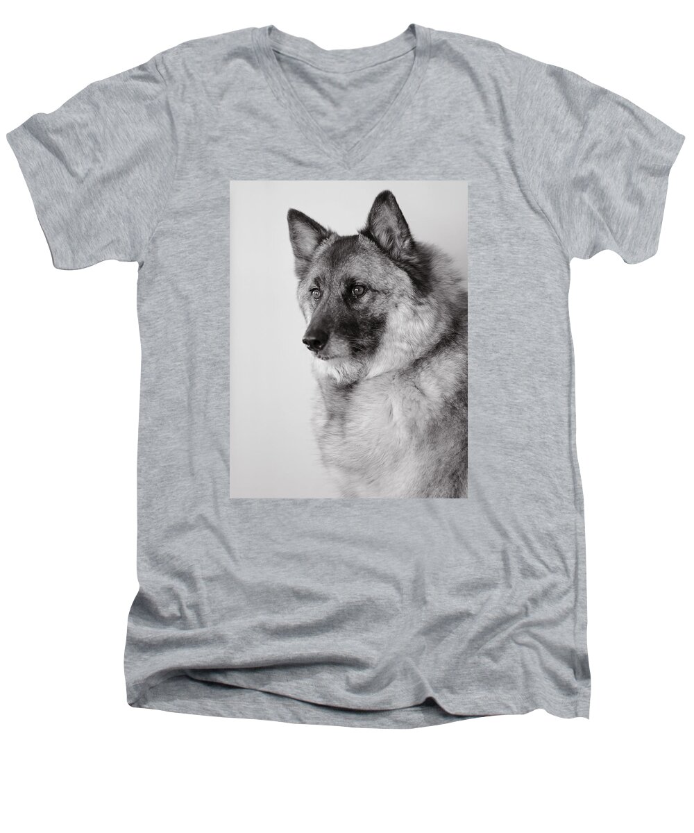 Dog Photography Men's V-Neck T-Shirt featuring the photograph Dog Loki by Irina ArchAngelSkaya
