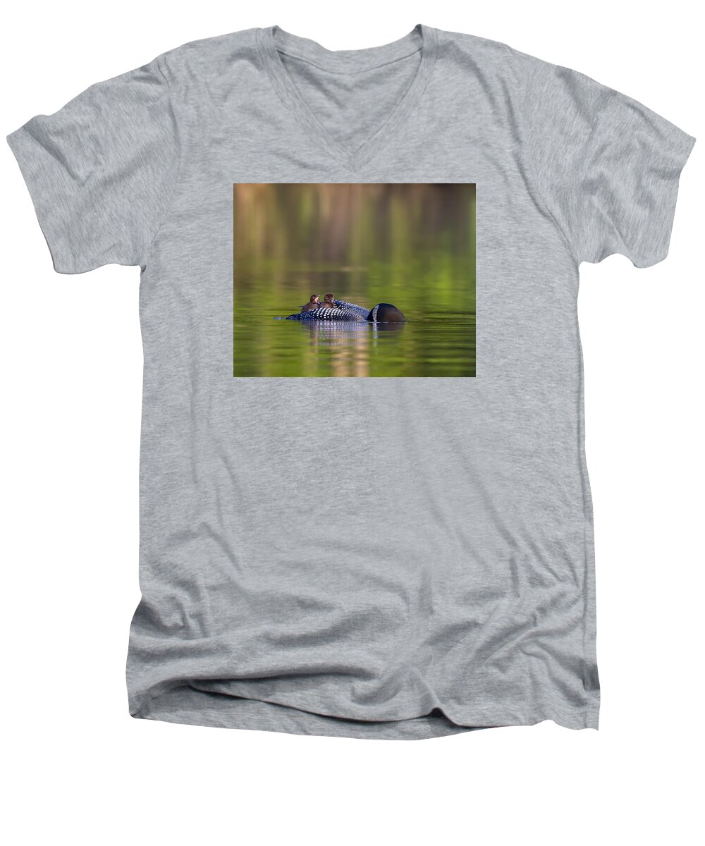 Common Loon Men's V-Neck T-Shirt featuring the photograph Loon Chick Yawn #2 by John Vose