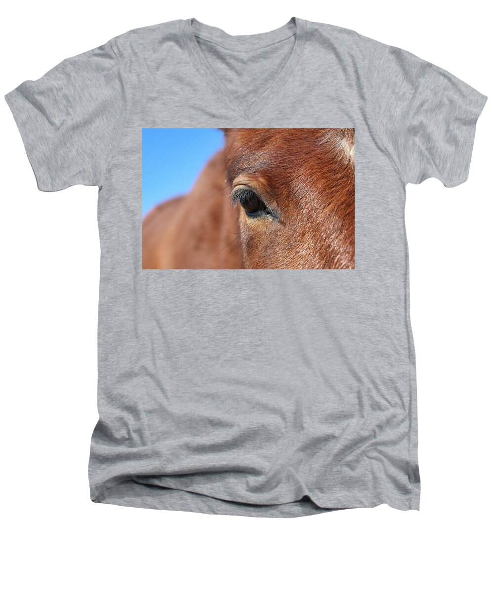 Virginia Range Mustangs Men's V-Neck T-Shirt featuring the photograph Mustang Macro #1 by Maria Jansson