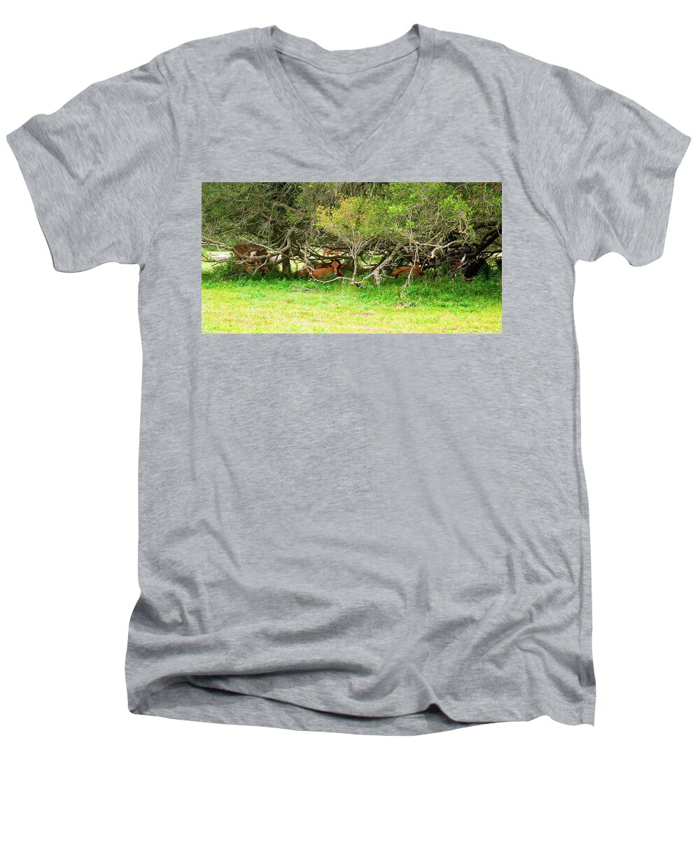 Cows Men's V-Neck T-Shirt featuring the photograph Shelter from the Sun #1 by Judy Wright Lott