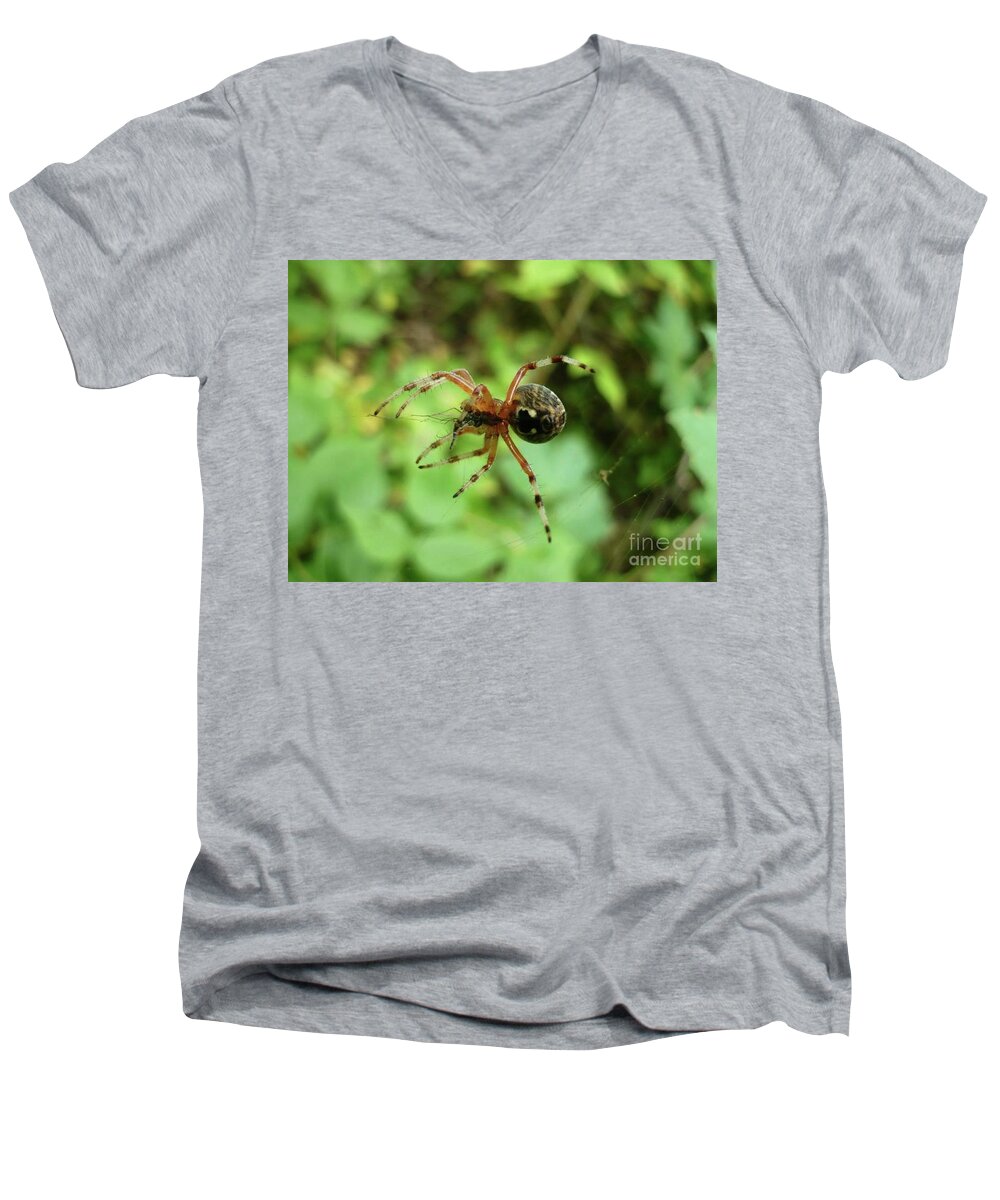 Spider Men's V-Neck T-Shirt featuring the painting Spider by 'REA' Gallery