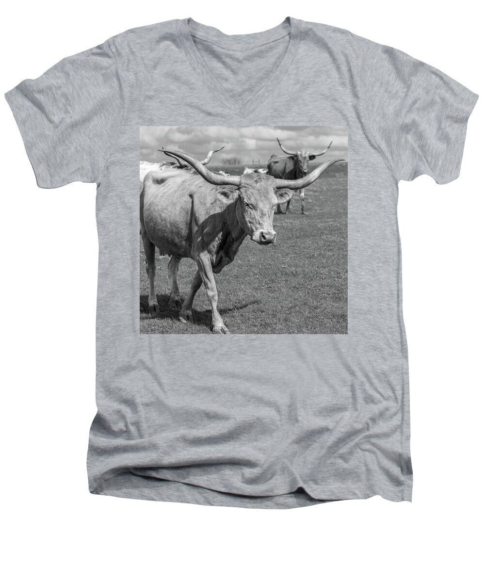 Texas Longhorns Men's V-Neck T-Shirt featuring the photograph Texas Longhorns #1 by Robert Bellomy