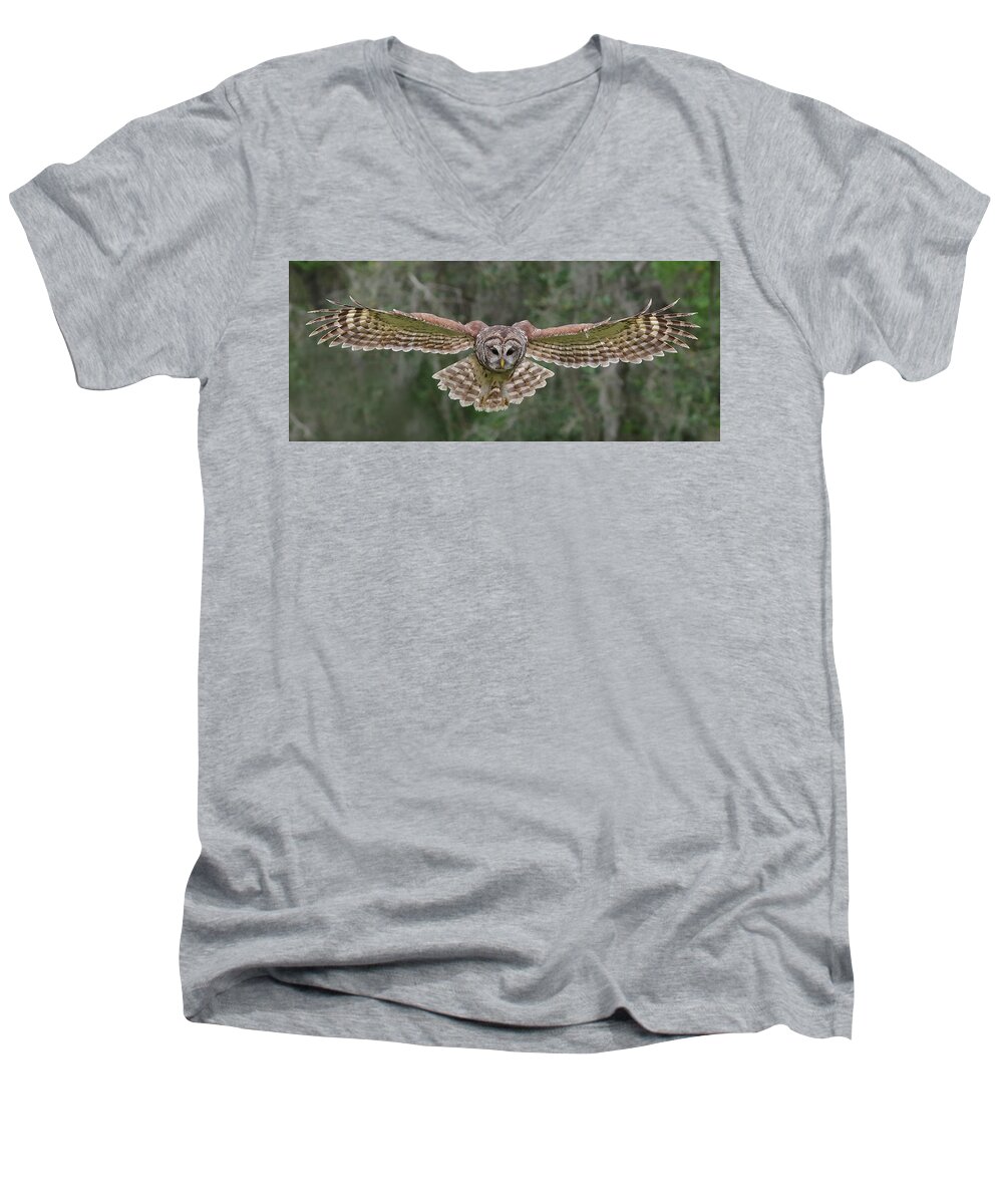 Barred Owl Men's V-Neck T-Shirt featuring the photograph The Approach. #1 by Evelyn Garcia