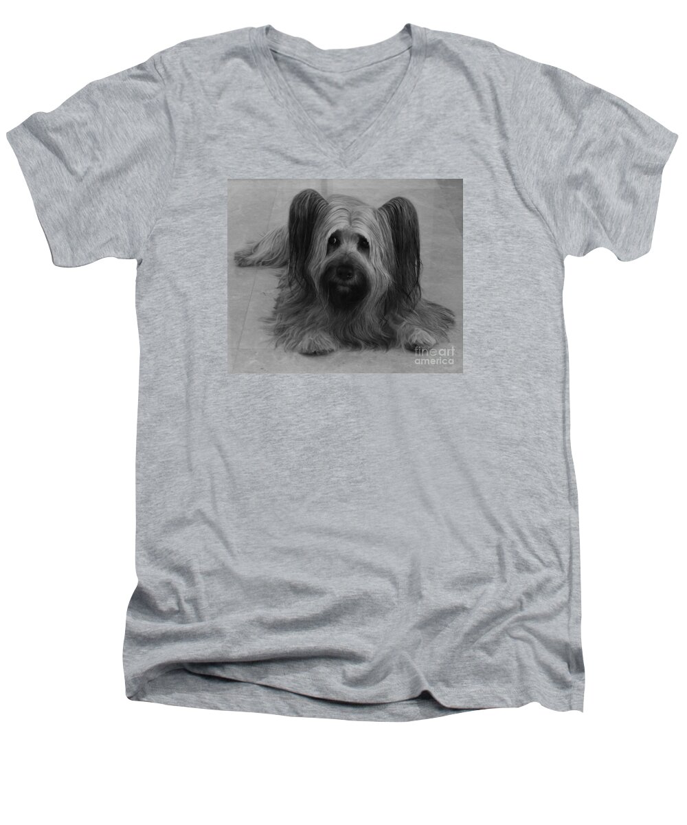 Dog Men's V-Neck T-Shirt featuring the photograph Tory #2 by Heather Hennick