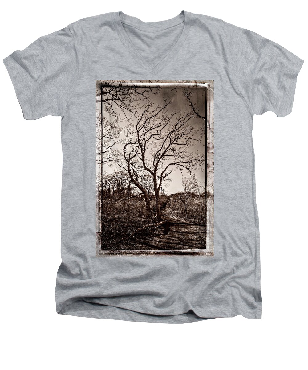 Baril Men's V-Neck T-Shirt featuring the photograph Tree #1 by Frank Winters