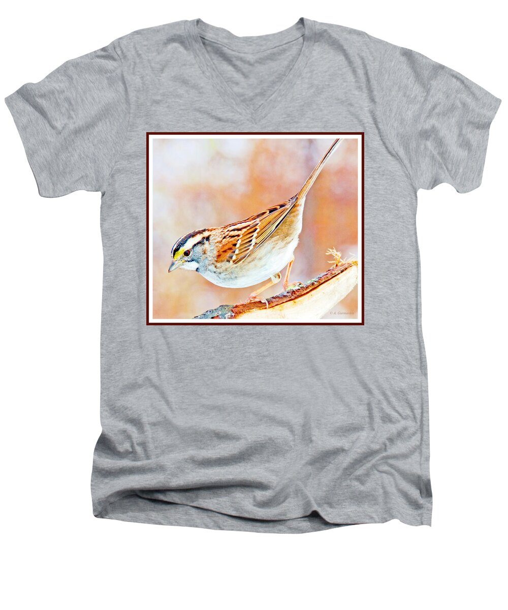 White-throated Sparrow Men's V-Neck T-Shirt featuring the photograph White-throated Sparrow, Animal Portrait #1 by A Macarthur Gurmankin