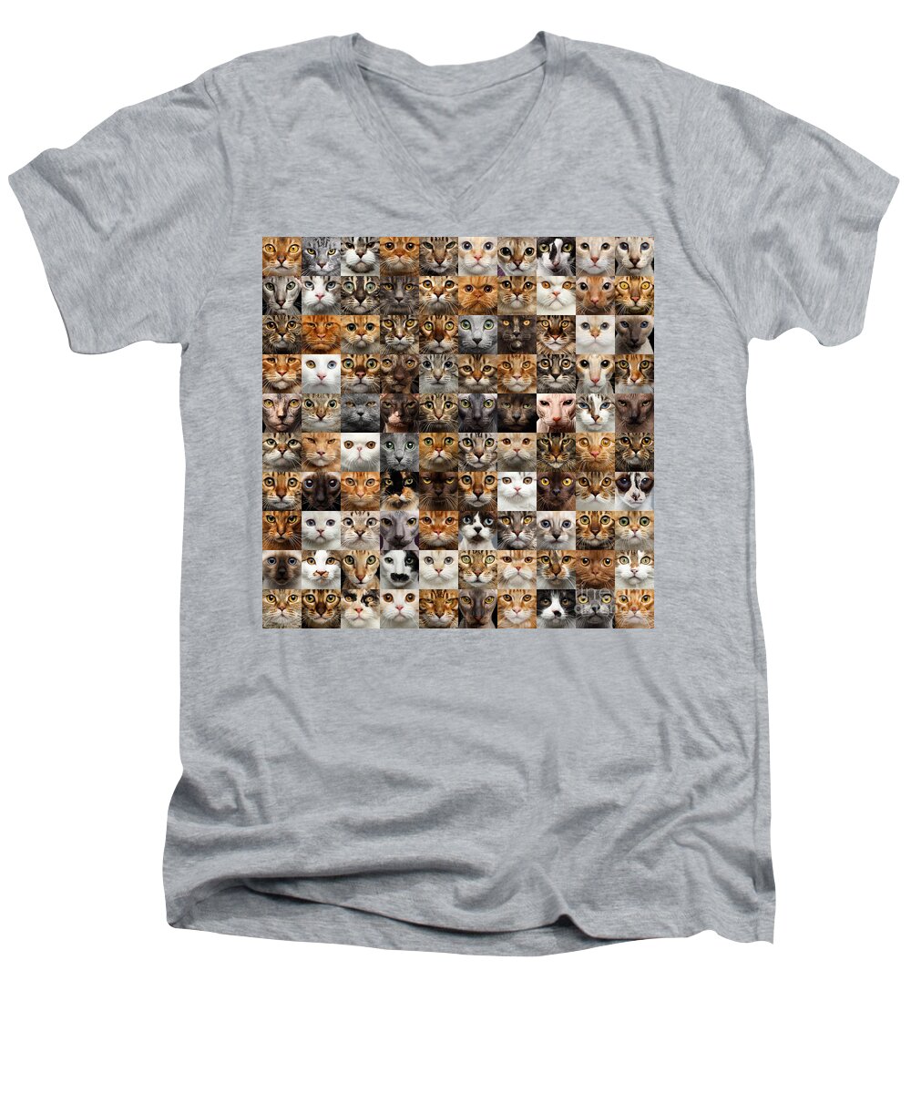 100 Men's V-Neck T-Shirt featuring the photograph 100 Cat faces by Sergey Taran