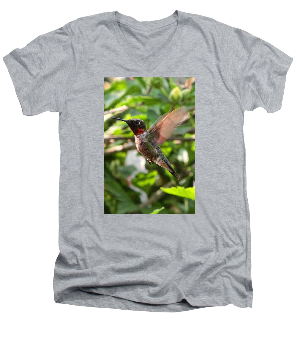 Hummingbirds Men's V-Neck T-Shirt featuring the photograph Hummingbird #16 by John Freidenberg