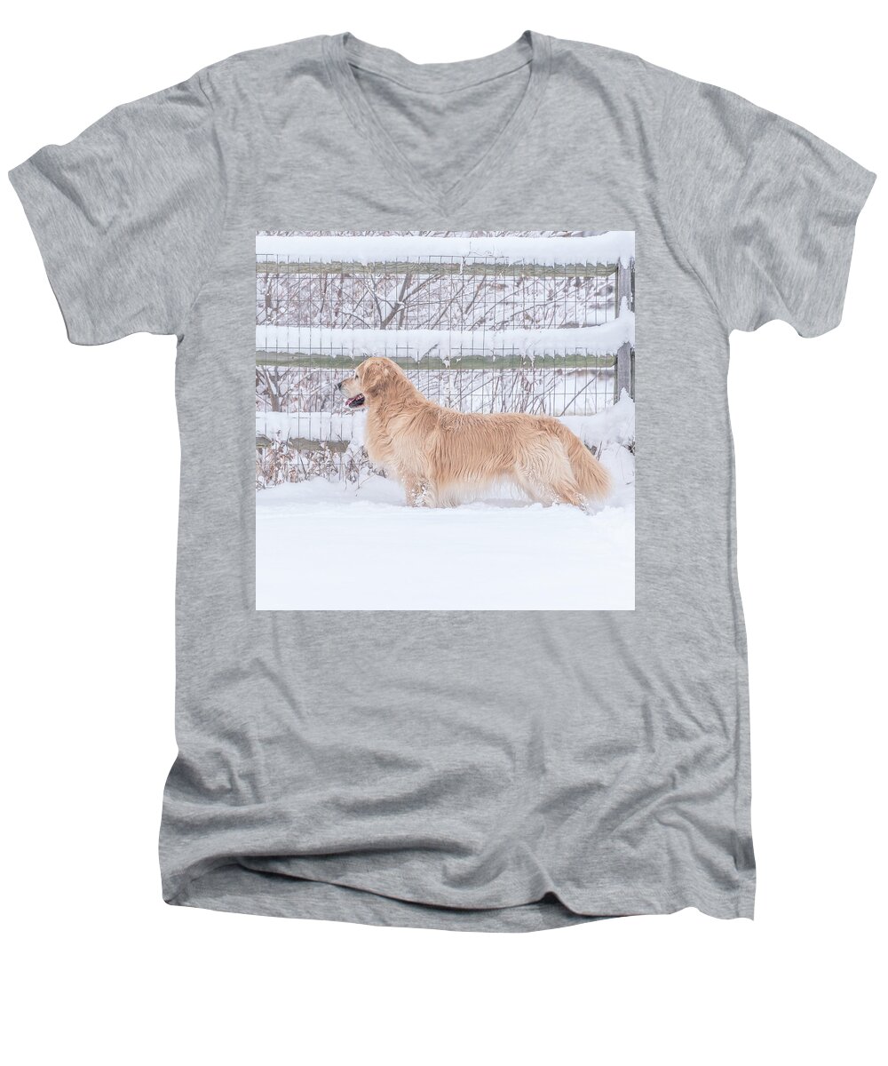 Dogs Men's V-Neck T-Shirt featuring the photograph Ever Watchful #2 by Jennifer Grossnickle