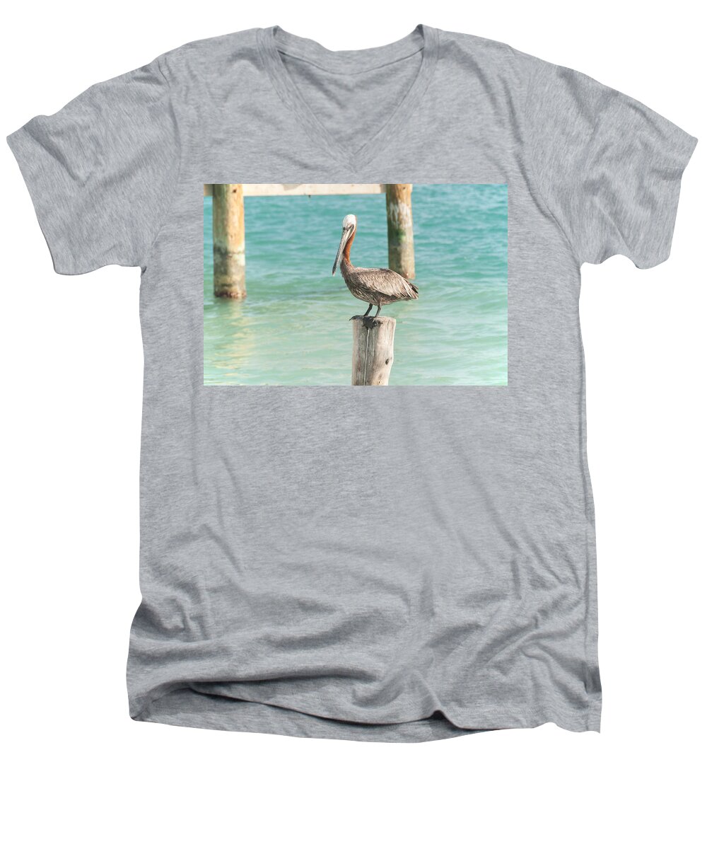 Yucatan Peninsula Men's V-Neck T-Shirt featuring the digital art Pelican at Isla Mujeres #2 by Carol Ailles