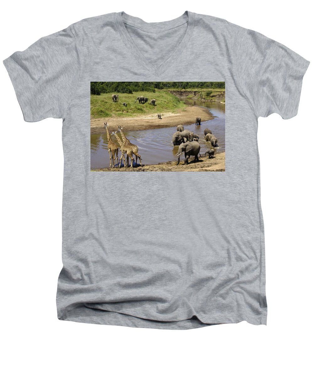 Africa Men's V-Neck T-Shirt featuring the photograph River Crossing #2 by Michele Burgess