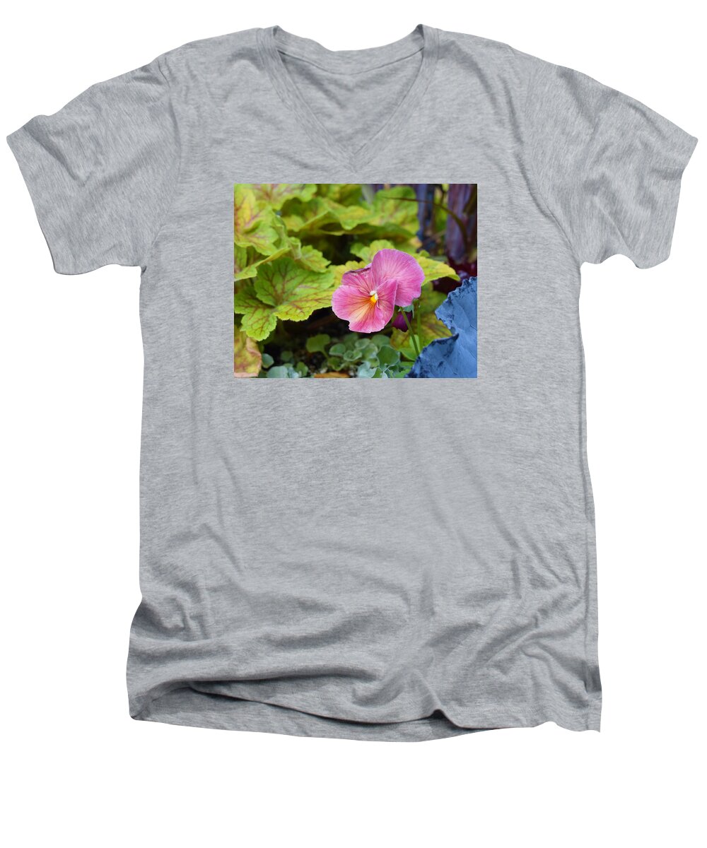 Pansies Men's V-Neck T-Shirt featuring the photograph 2015 After the Frost at the Garden Pansies 3 by Janis Senungetuk