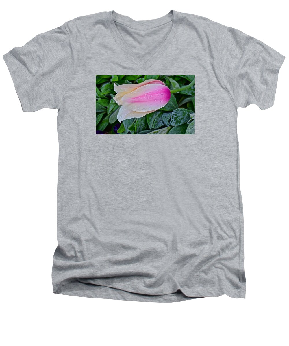 Tulips Men's V-Neck T-Shirt featuring the photograph 2015 Spring at Olbrich Gardens Lily Tulip in the Rain by Janis Senungetuk
