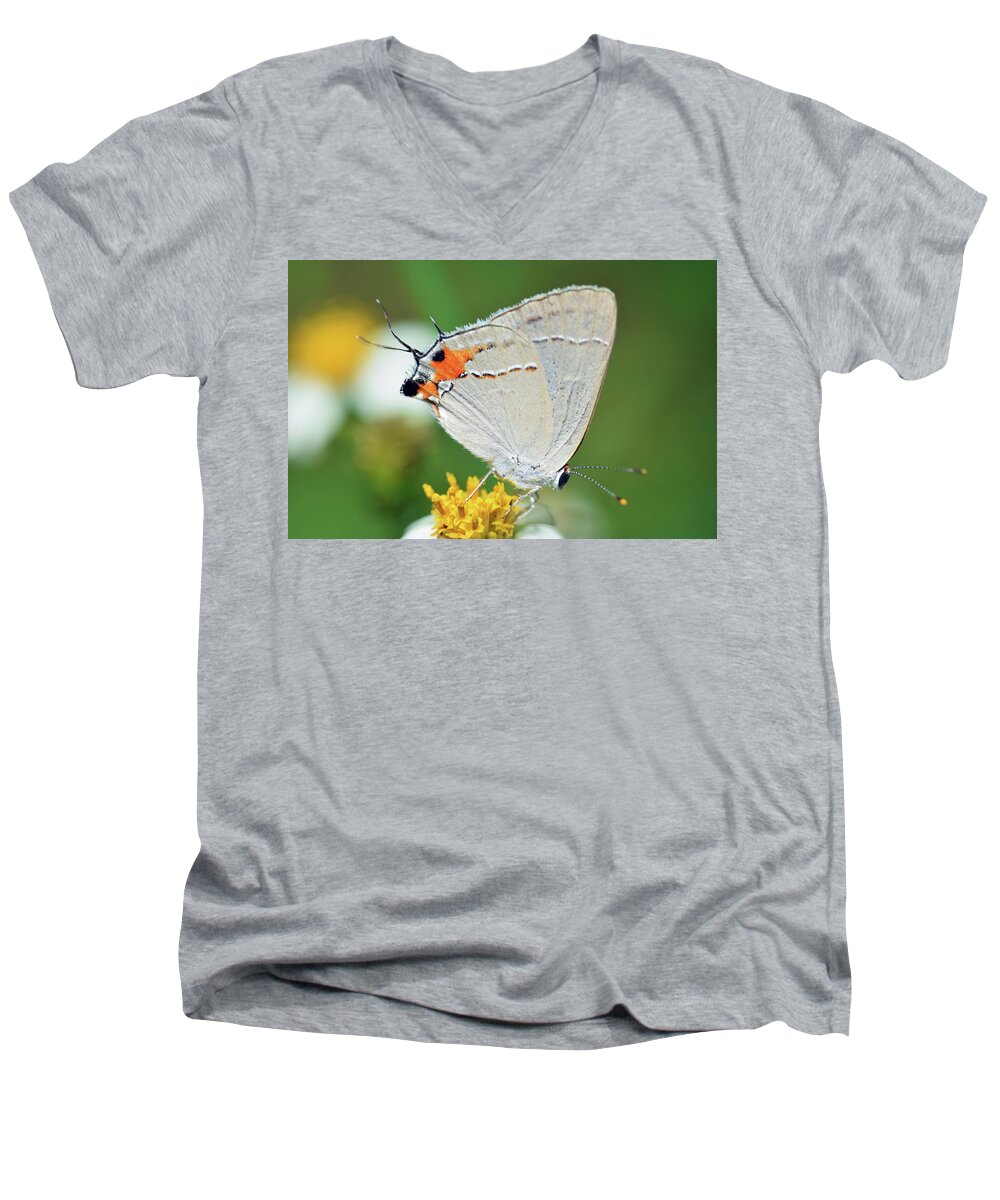Photograph Men's V-Neck T-Shirt featuring the photograph Hairstreak #3 by Larah McElroy