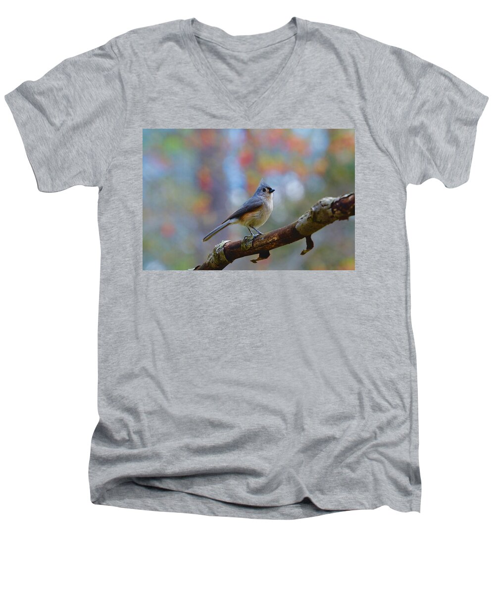 Tufted Titmouse Men's V-Neck T-Shirt featuring the photograph Tufted Titmouse #4 by Robert L Jackson