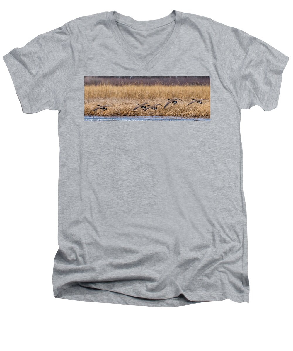 Two Geese Men's V-Neck T-Shirt featuring the photograph 5 Geese by Paul Freidlund