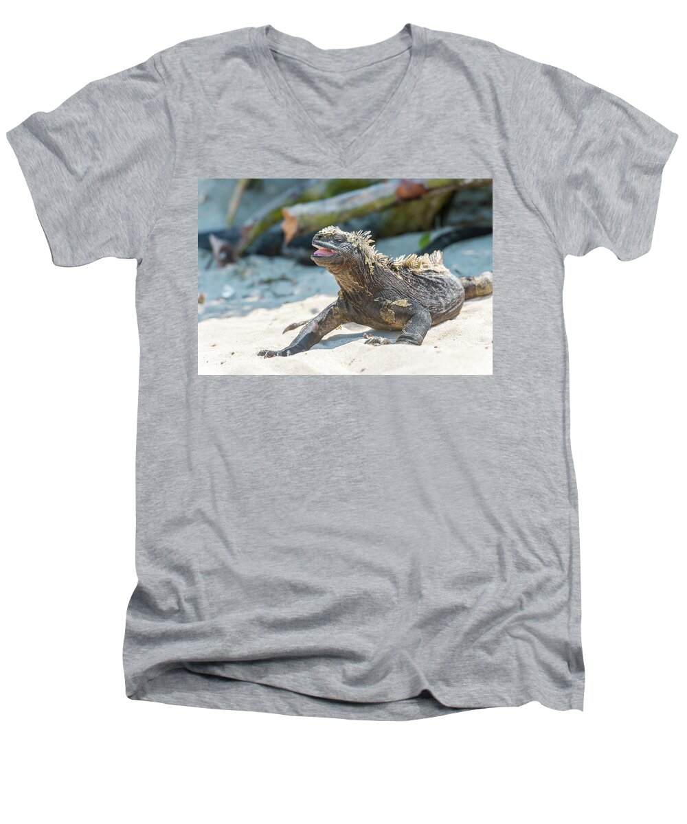 Marine Iguana Men's V-Neck T-Shirt featuring the photograph Marine Iguana on Galapagos Islands #7 by Marek Poplawski