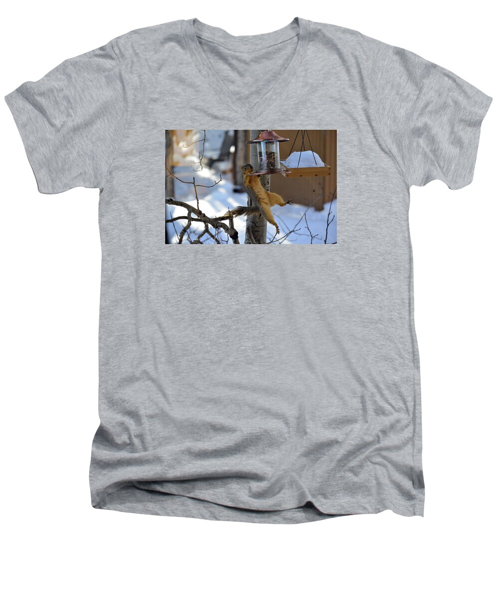Squirrel Men's V-Neck T-Shirt featuring the photograph A Little Help Please by Matt Swinden