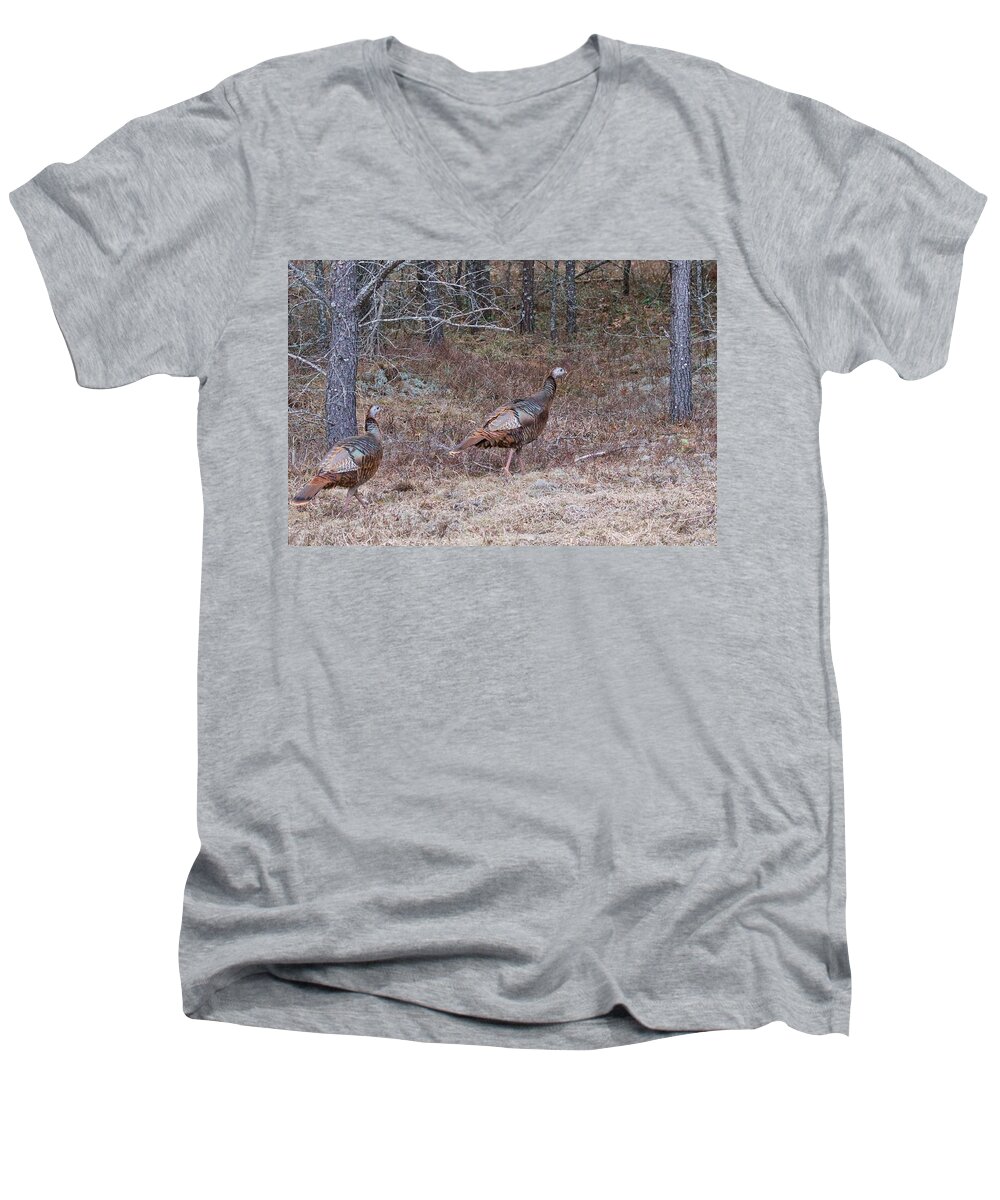 Meleagris Gallopavo Men's V-Neck T-Shirt featuring the photograph A Pair of Turkeys 1152 by Michael Peychich