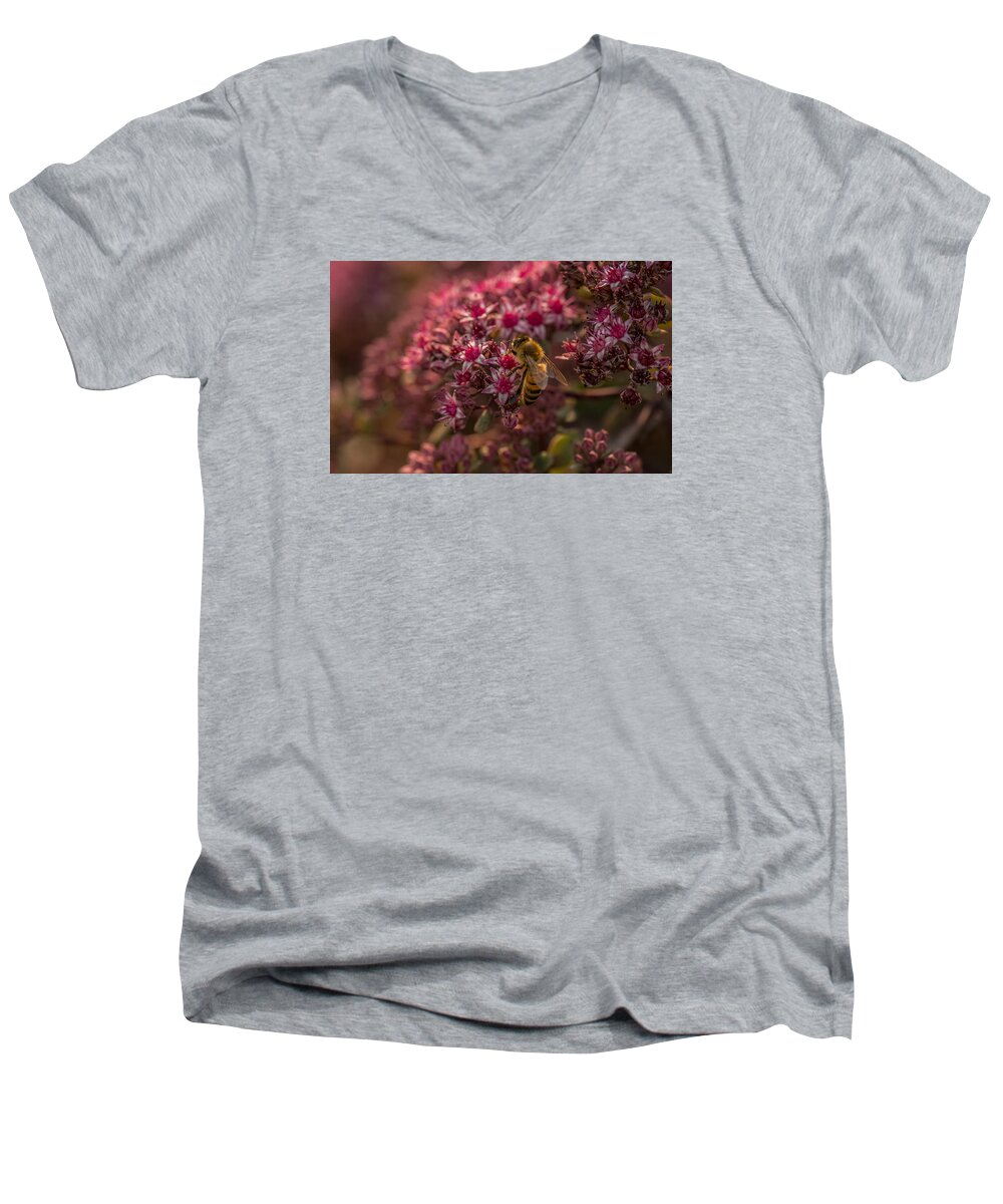Bee Men's V-Neck T-Shirt featuring the photograph A Summer Bee by Yeates Photography
