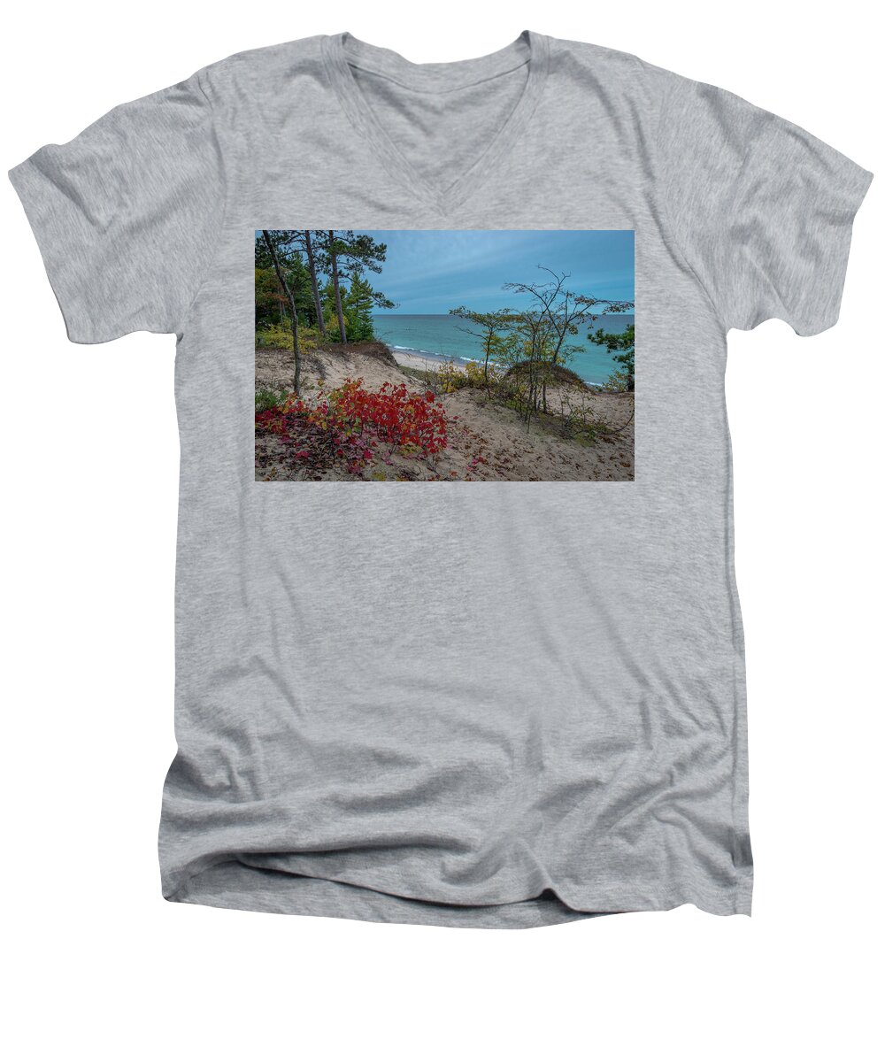 12 Mile Beach Men's V-Neck T-Shirt featuring the photograph A Touch of Color by Gary McCormick