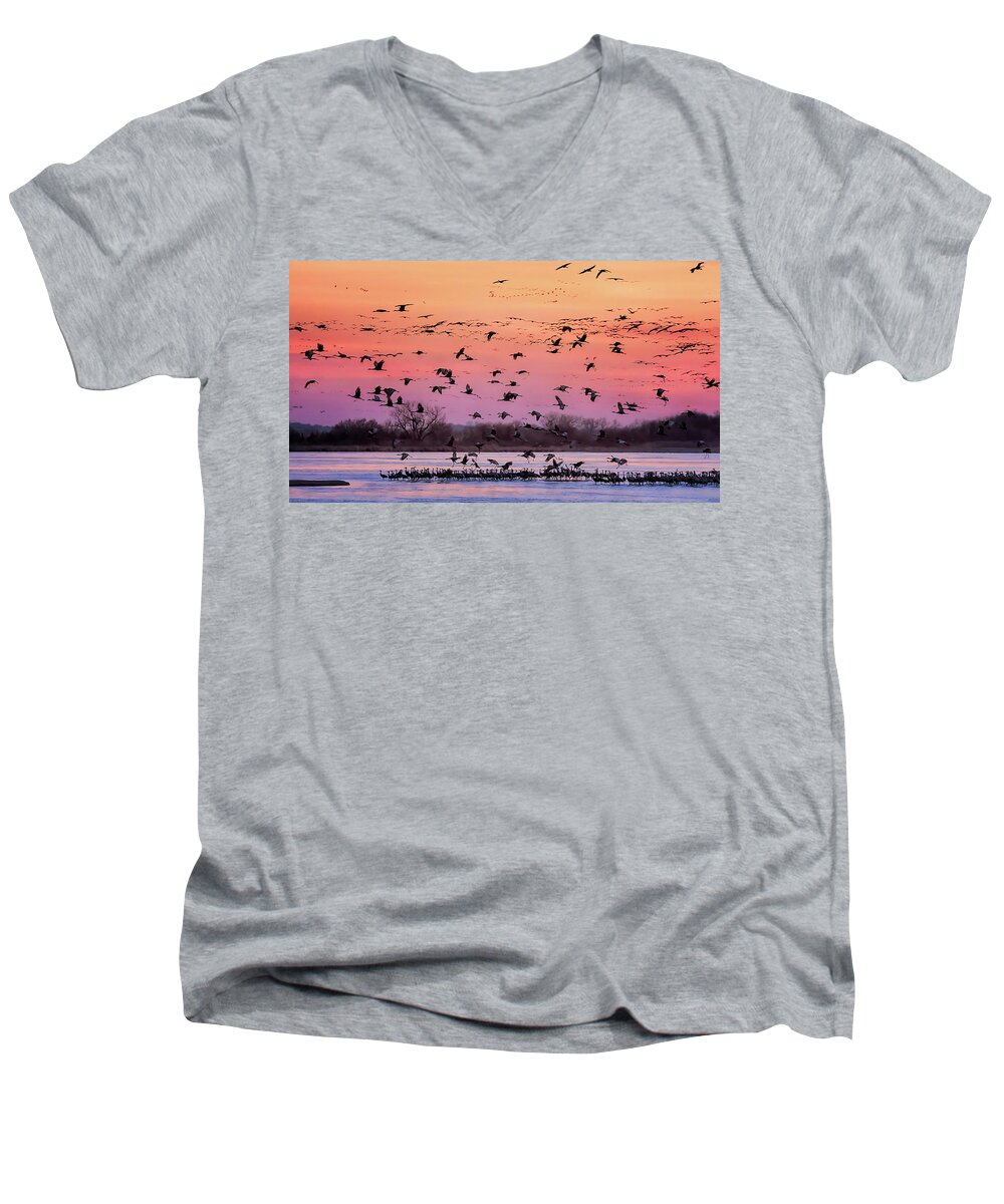 Sandhill Cranes Men's V-Neck T-Shirt featuring the photograph A Vibrant Evening by Susan Rissi Tregoning