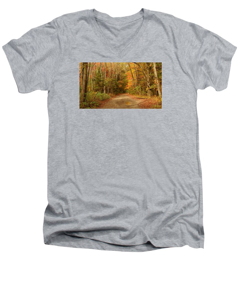 Autumn Men's V-Neck T-Shirt featuring the photograph A Walk in the Woods by Susan Rissi Tregoning