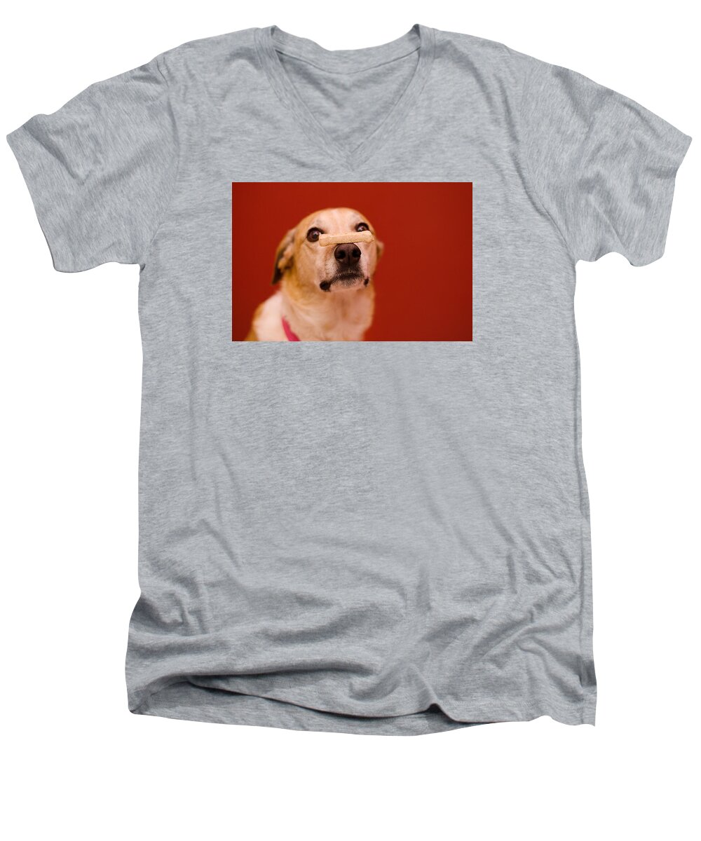 Pet Angel Photography Men's V-Neck T-Shirt featuring the photograph Abbie and a Milky Bone by Irina ArchAngelSkaya