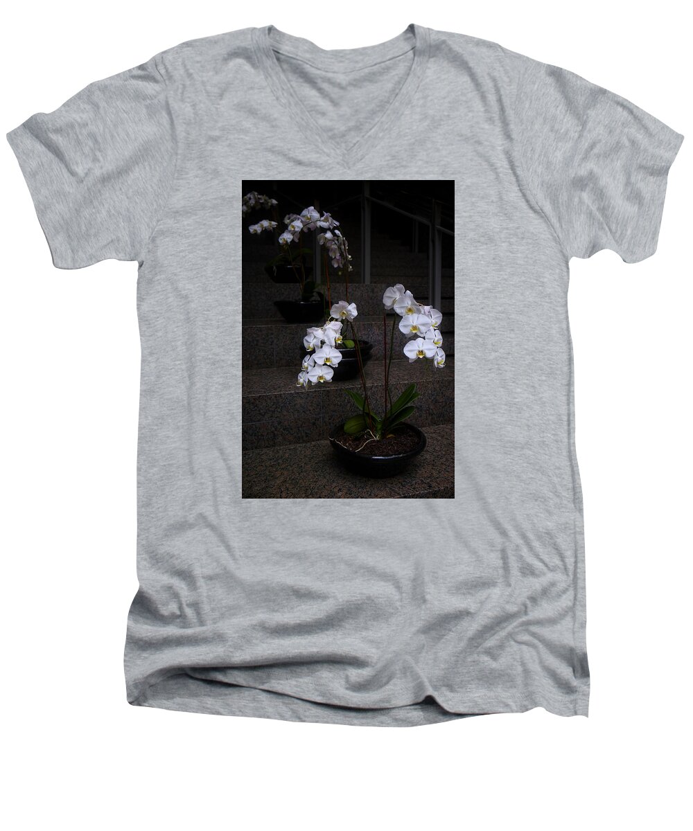 Steps Men's V-Neck T-Shirt featuring the photograph Above All... I Wish You Love by Lucinda Walter