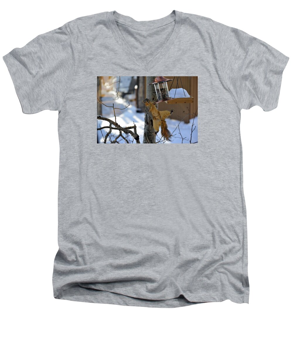 Squirrel Men's V-Neck T-Shirt featuring the photograph Acrobatic Squirrel by Matt Swinden