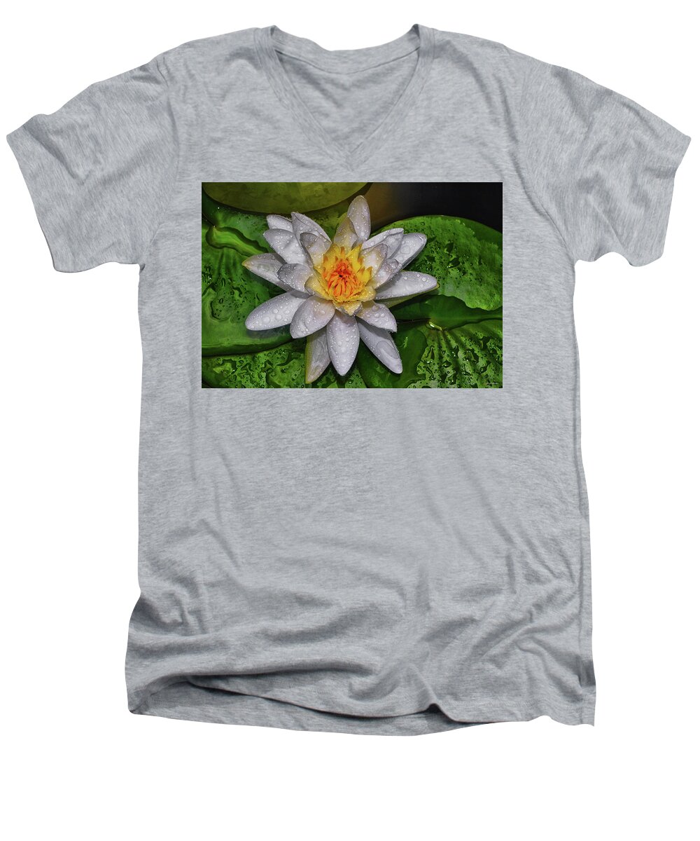 Water Lily Men's V-Neck T-Shirt featuring the photograph After The Rain - Water Lily 003 by George Bostian