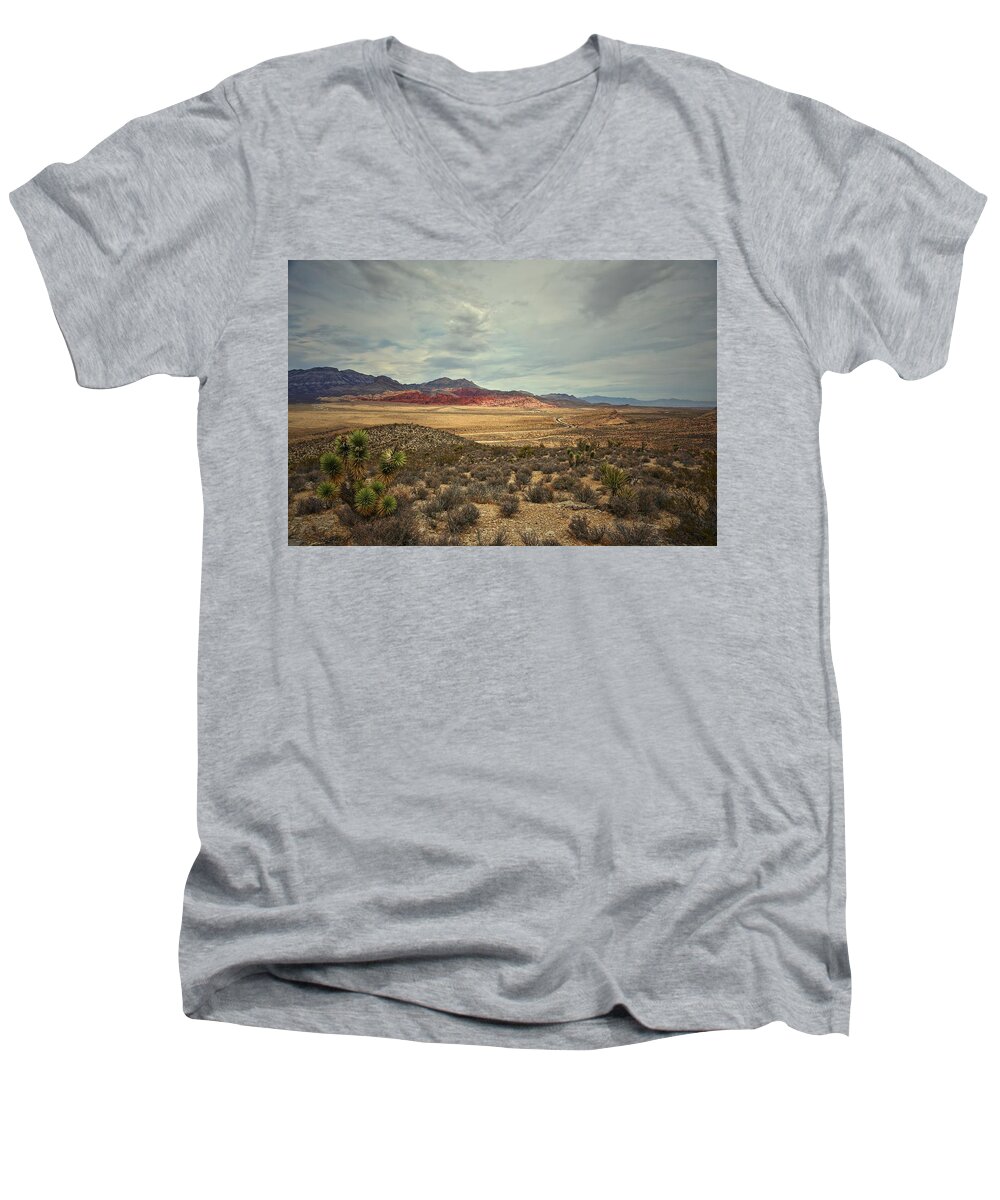  Men's V-Neck T-Shirt featuring the photograph All Day by Mark Ross