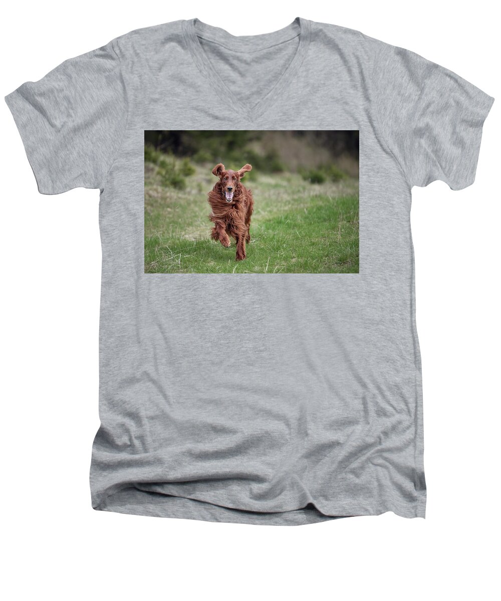 Dog Men's V-Neck T-Shirt featuring the photograph Allegro's march by Robert Krajnc