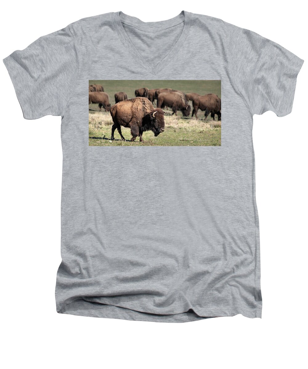2017 Men's V-Neck T-Shirt featuring the photograph American Bison 5 by James Sage