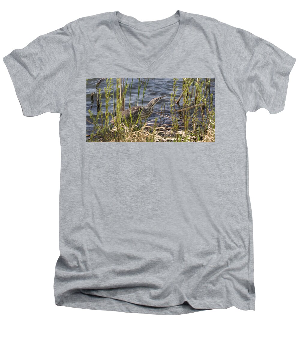 American Bittern Men's V-Neck T-Shirt featuring the photograph American Bittern hunting by Don Anderson