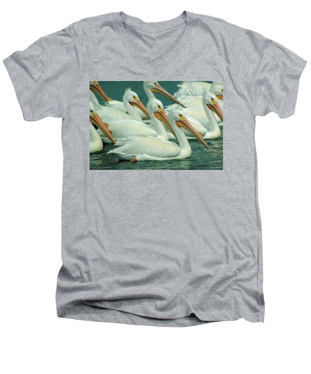 White Pelicans Men's V-Neck T-Shirt featuring the photograph American White Pelicans by Bruce Morrison